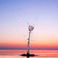 电影小小的家长观后感汇集