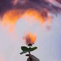 雷佳音乐会观后感分析细选