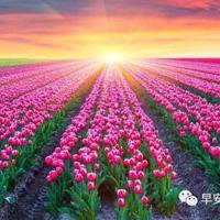 全球旅游攻略读后感集锦