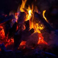 读后感两百字藤野先生总汇