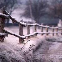 四年级作文《乌塔》读后感汇总