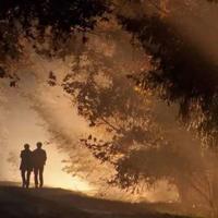 看阅兵观后感1200汇聚