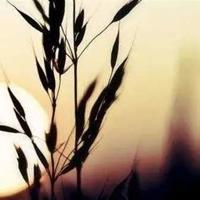 秋收起义萍乡陈列馆观后感汇合