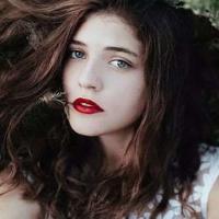 藏羚羊跪拜读后感400字汇合