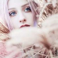 大野狼读后感一年级聚集