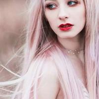 雪狼传奇读后感300字细选