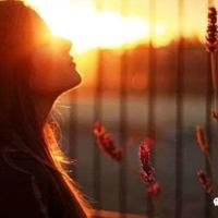 《远方的家》观后感摘录