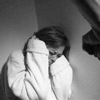 贾平凹文竹读后感汇编