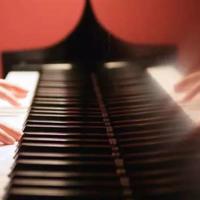 凤凰花开电视观后感汇总