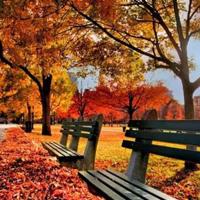 烛爱天山让爱接力观后感总汇