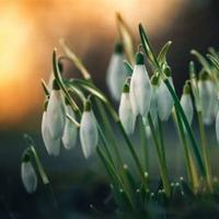 盂县纪念五四运动的观后感汇集