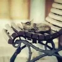 孝经二十四孝读后感150摘录