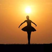 历史必须铭记读后感整理