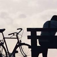 秋天景色的读后感聚集