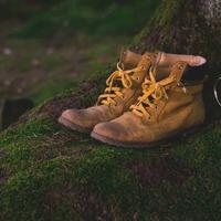 罐头盒里面的孩子读后感汇聚