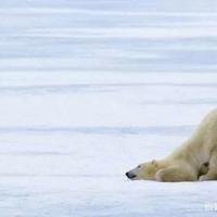 香港港爆事件的读后感整理