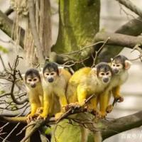 我不怕鬼的读后感整理