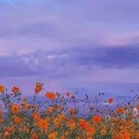 读英雄人物的观后感合集