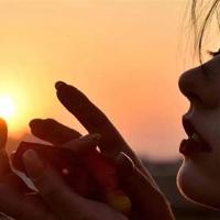 王冠的秘密读后感精练