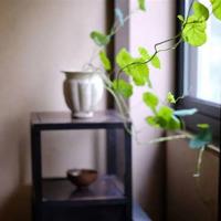 中小学生教育讲座观后感汇合