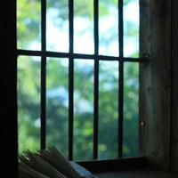 妈妈咪鸭儿童电影观后感精练