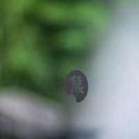 孤独六讲每一讲读后感汇总