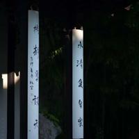 父母爱情观后感剧照摘录