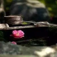 观看电视台的观后感聚集