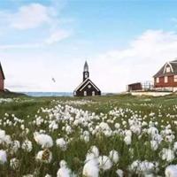 读读童瑶和儿歌读后感汇集