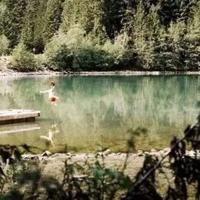 十八岁的电影观后感锦集