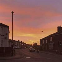 兔和猫的读后感350总汇