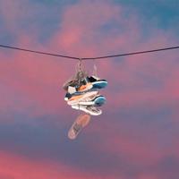 北京天坛观后感100字总汇