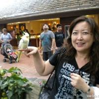 和爸爸去散步绘本读后感收集