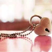 傻特夫妇读后感100字精选