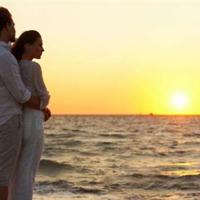 珍珠鸟读后感350字聚集