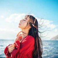 天鹅牧场读后感50字汇合