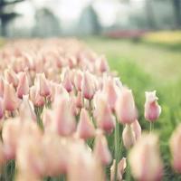 刘媛媛寒门演讲观后感摘录