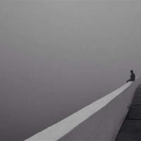 贪心的狼和狡猾的狐读后感细选