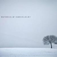 摇滚藏獒观后感作文细选