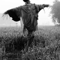 李大钊读后感450字汇集