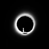 内在的力量读后感集锦