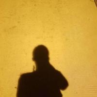 笨狼的故事读后感350集合