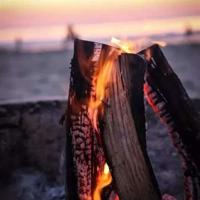 少儿百问百答的读后感收集