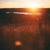 黎明踏浪号读后感400整理