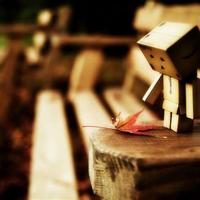 抉择读后感550合集