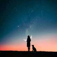 元宵晚会2020年观后感锦集