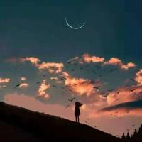 别躺在挫折脚下读后感摘录