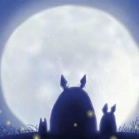 钥匙瓜观后感300字合集