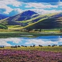 口袋里的春天读后感五百字汇总