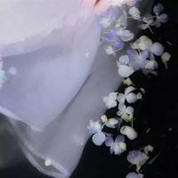 眼睛刘健屏读后感摘录